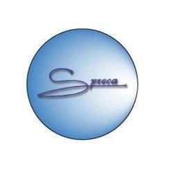 Pasticceria Gelateria Spreca