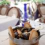 Gallery Professionale