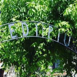 Ristorante Edy Più