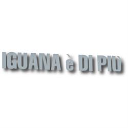 Iguana è Di Più