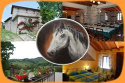 Agriturismo Cavallo Grigio
