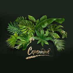 Ristorante La Capannina
