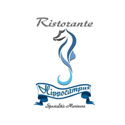 Hippocampus