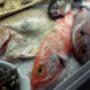 Specialità Pesce