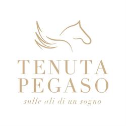 Ristorante Tenuta Pegaso