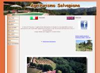 Sito di Agriturismo Selvapiana