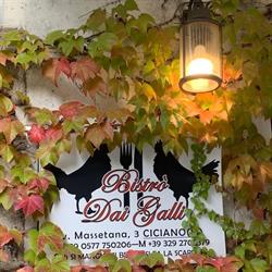 Trattoria Bistrò dai Galli