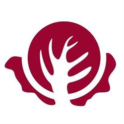 Radicchio Rosso Ristorante Pizzeria