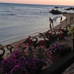 "La Pineta" Ristorante di Risa srls- Lido - Bar