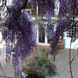 Ristorante Boccondivino