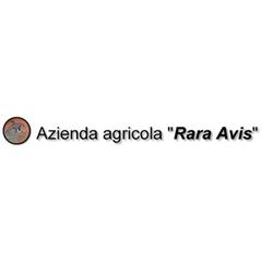 Agriturismo Rara Avis