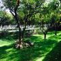Giardino 2