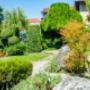 Gallery Professionale