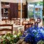 Gallery Professionale