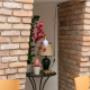 Gallery Professionale