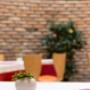 Gallery Professionale