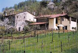 Agriturismo Ca' Soave