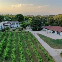 Agriturismo Il Rovere