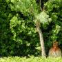 Giardino camere