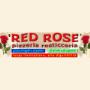 Red Rose
