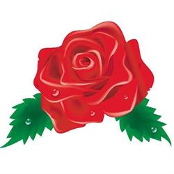 Red Rose