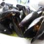 Caricato da visitatore il 18/12/2016 - Mussels Mediterraneo restaurant Positano