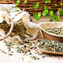 Erboristeria Green Pharma Di Jesi (Ancona) - Franchising Erboristerie D'italia