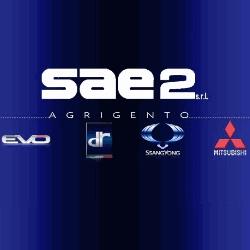 Sae2