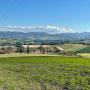 # 4