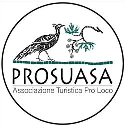 Associazione Turistica 'pro Suasa'