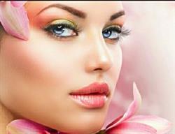 Esteticamente Di E. Spezzigu & G. Gattini Snc