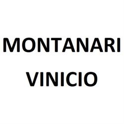Vinicio Montanari