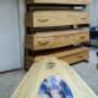 Gallery Professionale