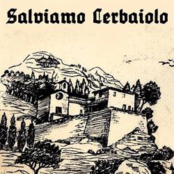 Cerbaiolo