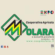 Cooperativa Agricola Molara