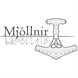 Mjollnir Srl del Dott. Console Alessio