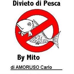 Mito S.a.s. di Amoruso Carlo & C.