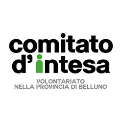 Comitato D'intesa Tra Le Associazioni Volontaristiche Della Provincia Di Belluno