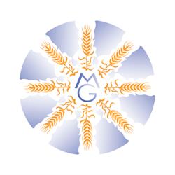 Molino Gismondi