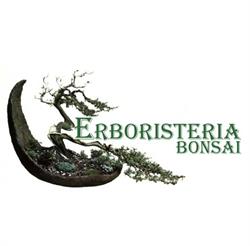 Bonsai