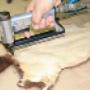 Lavorazione Pelle