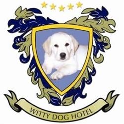 Witty Dog Hotel S.R.L.