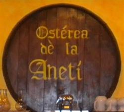 Aneti' S.r.l.