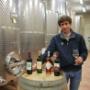 cantina vino