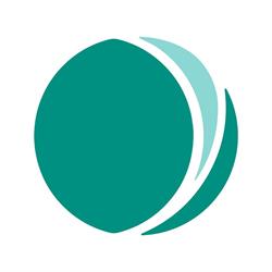 Bmi Biomedical International S.r.l.