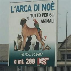 L'Arca di Noe'