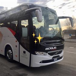 Bobus by landuzzi