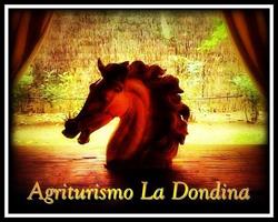 Az.Agr. La Dondina Di Coppola Tommaso
