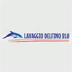 Lavaggio Delfino Blu
