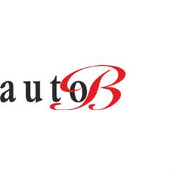 Autofficina Auto B